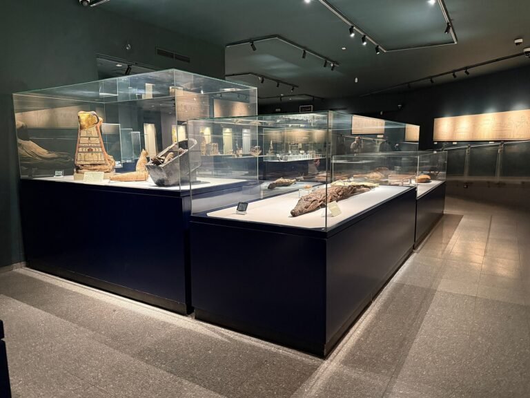 Glass display cases inside the Mummification Museum in Luxor